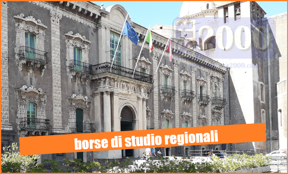 Borse di hotsell ricerca post laurea