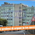 Sanità. Al "Cannizzaro" di Catania ben sei prelievi di organi nei primi tre mesi dell'anno